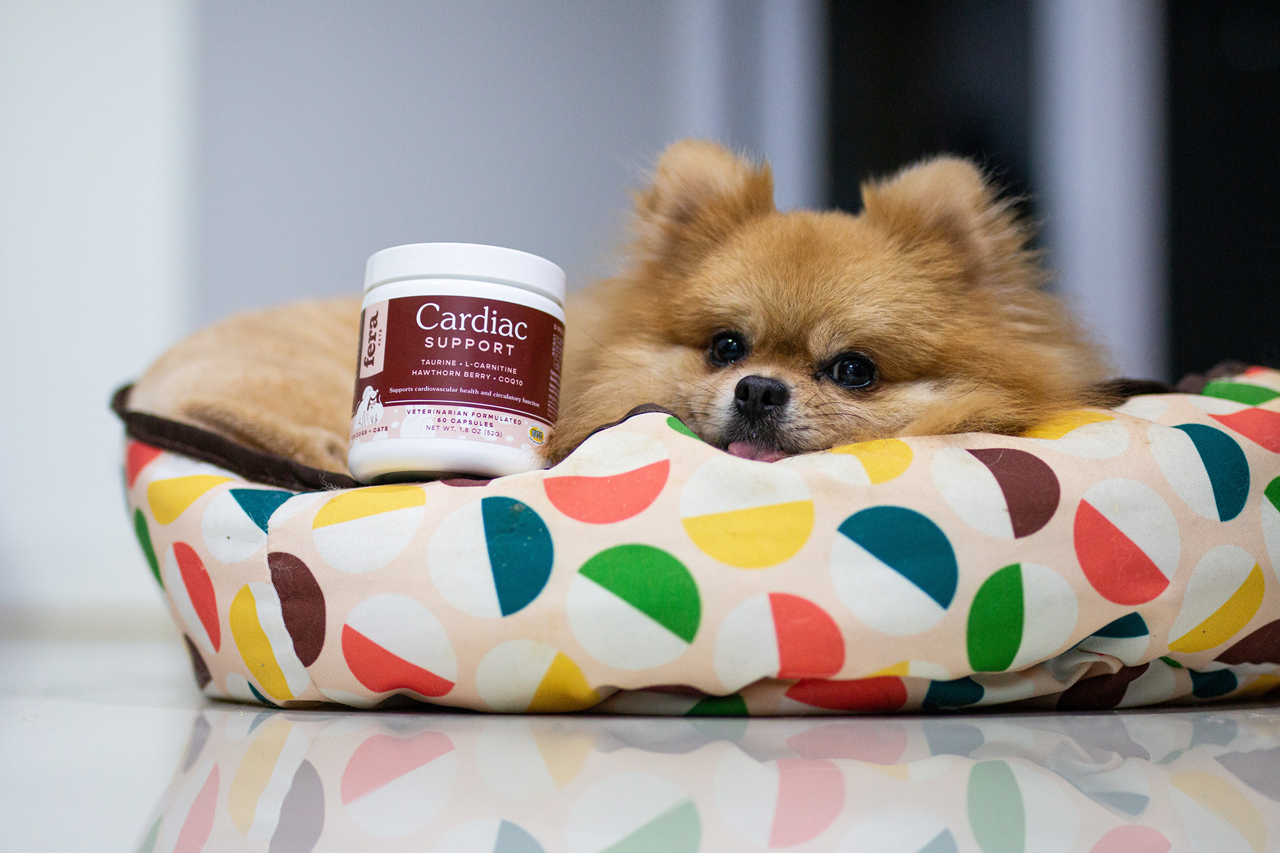 Fera Pet Organics Dog and Cat Supplement, Cardiac Support