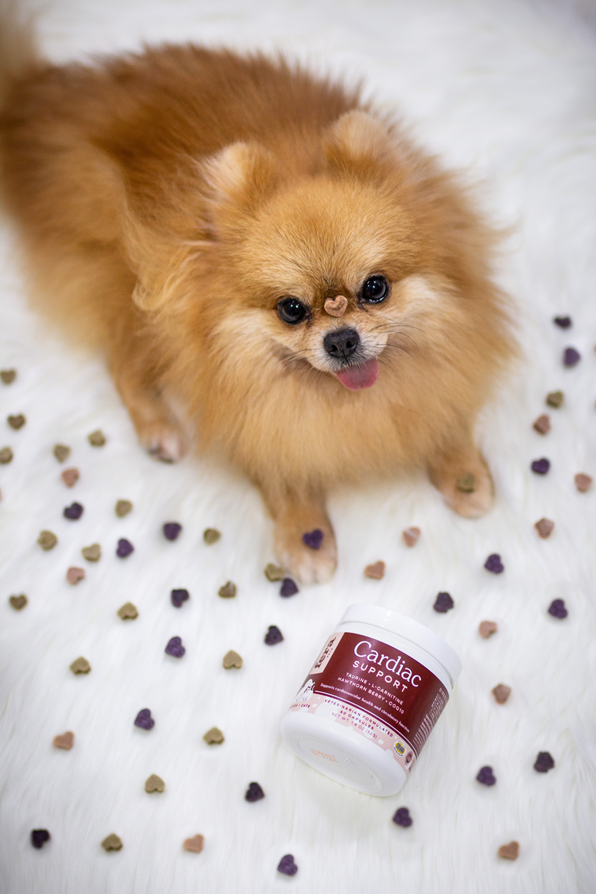 Fera Pet Organics Dog and Cat Supplement, Cardiac Support