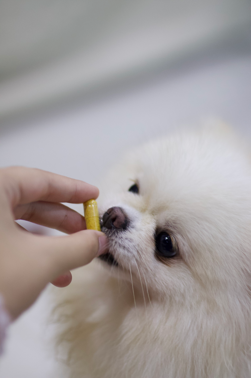 Fera Pet Organics Dog and Cat Supplement, Cardiac Support