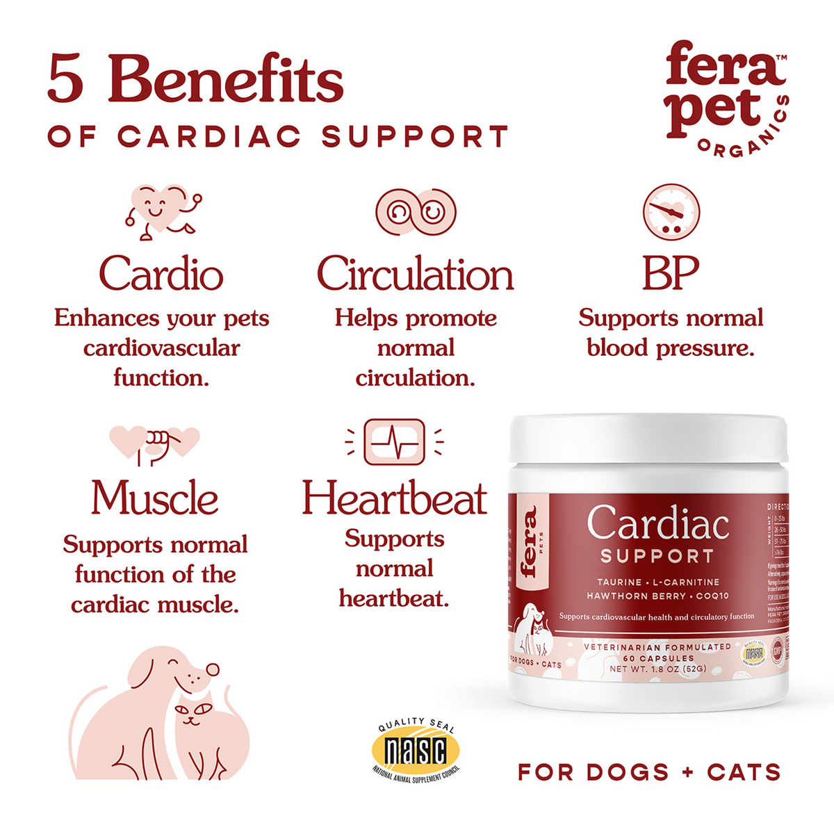 Fera Pet Organics Dog and Cat Supplement, Senior Cat Bundle