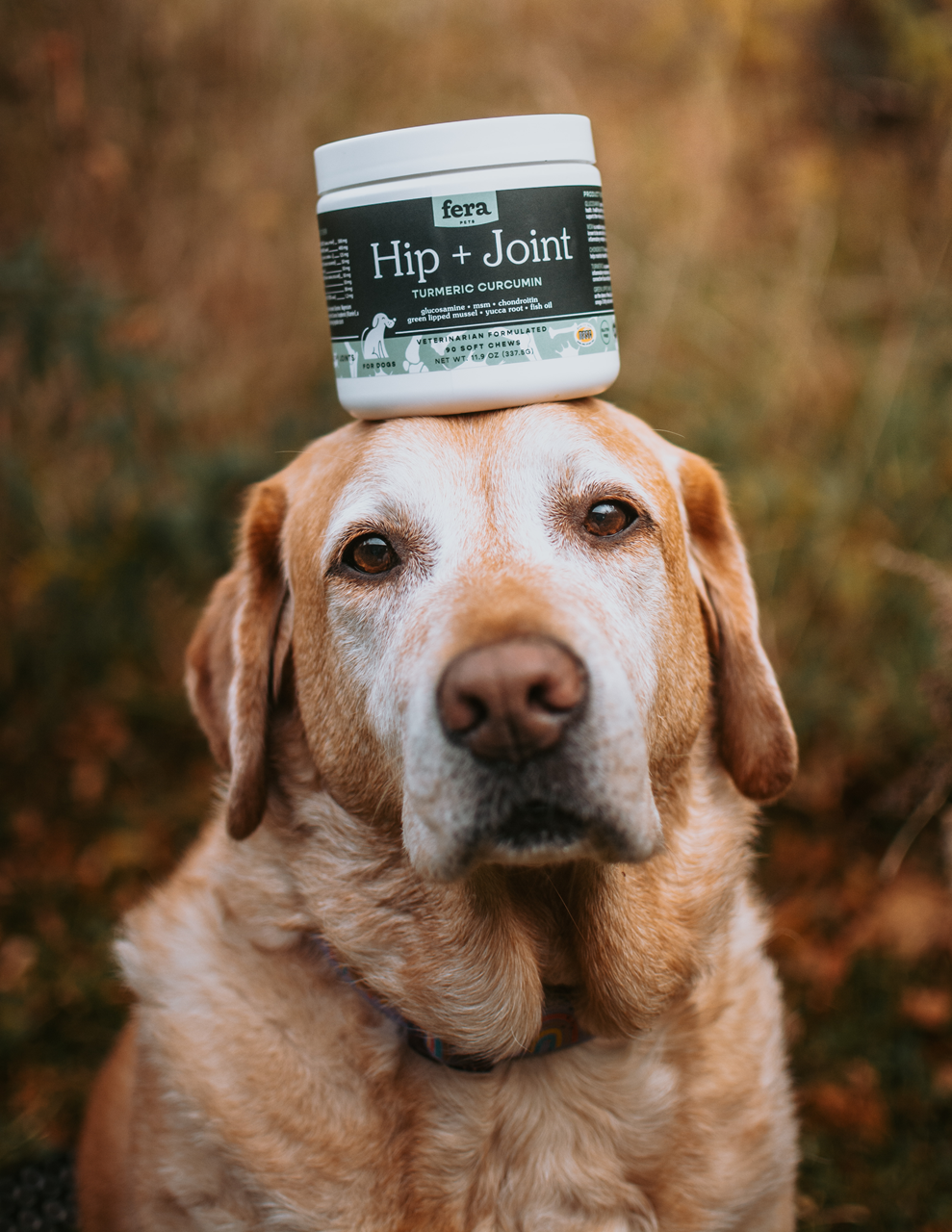 Fera Pet Organics Dog and Cat Supplement, Hip + Joint Support for Dogs