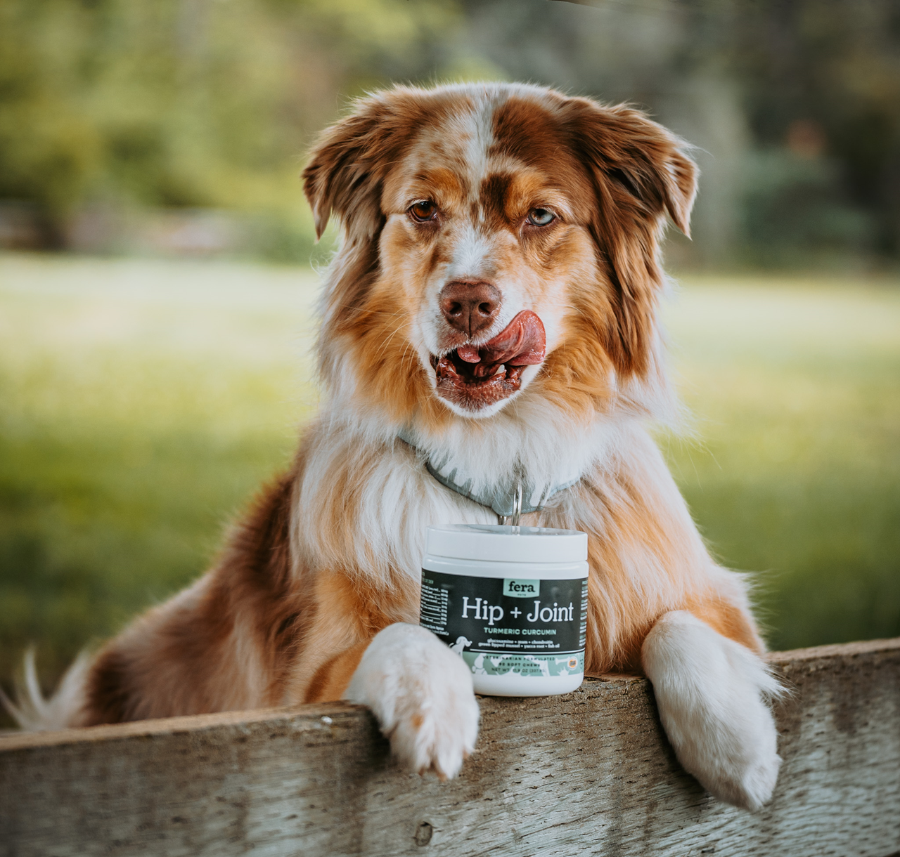 Fera Pet Organics Dog and Cat Supplement, Hip + Joint Support for Dogs