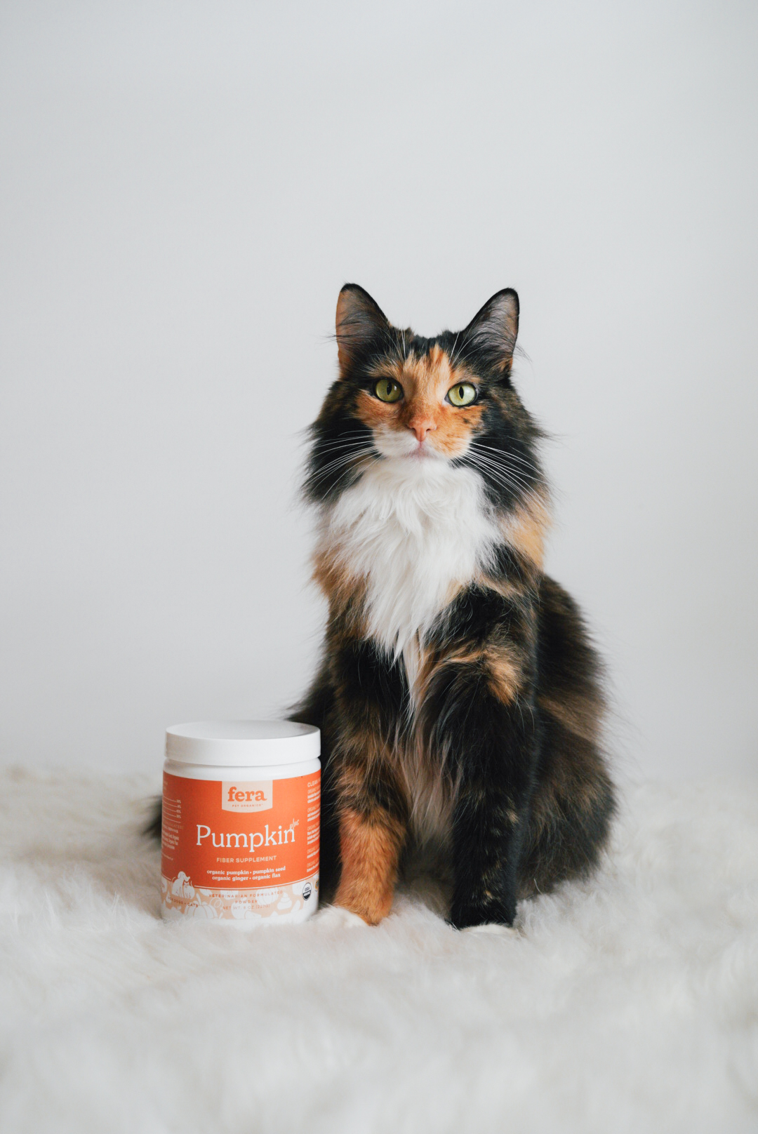 Fera Pet Organics Pumpkin Plus | Dog & Cat Fiber Supplement