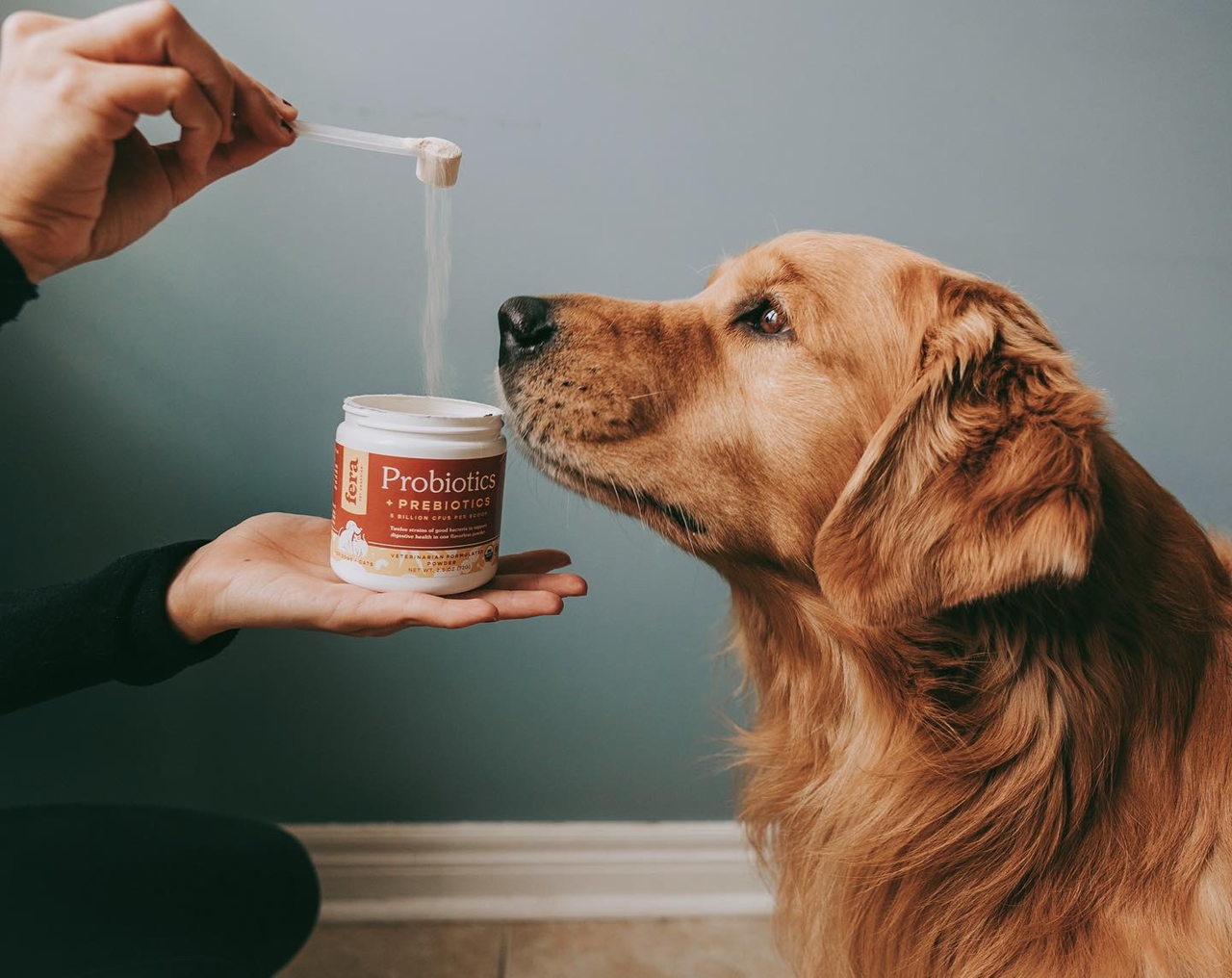 Fera Pet Organics Dog and Cat Supplement, USDA Organic Probiotics with Prebiotics