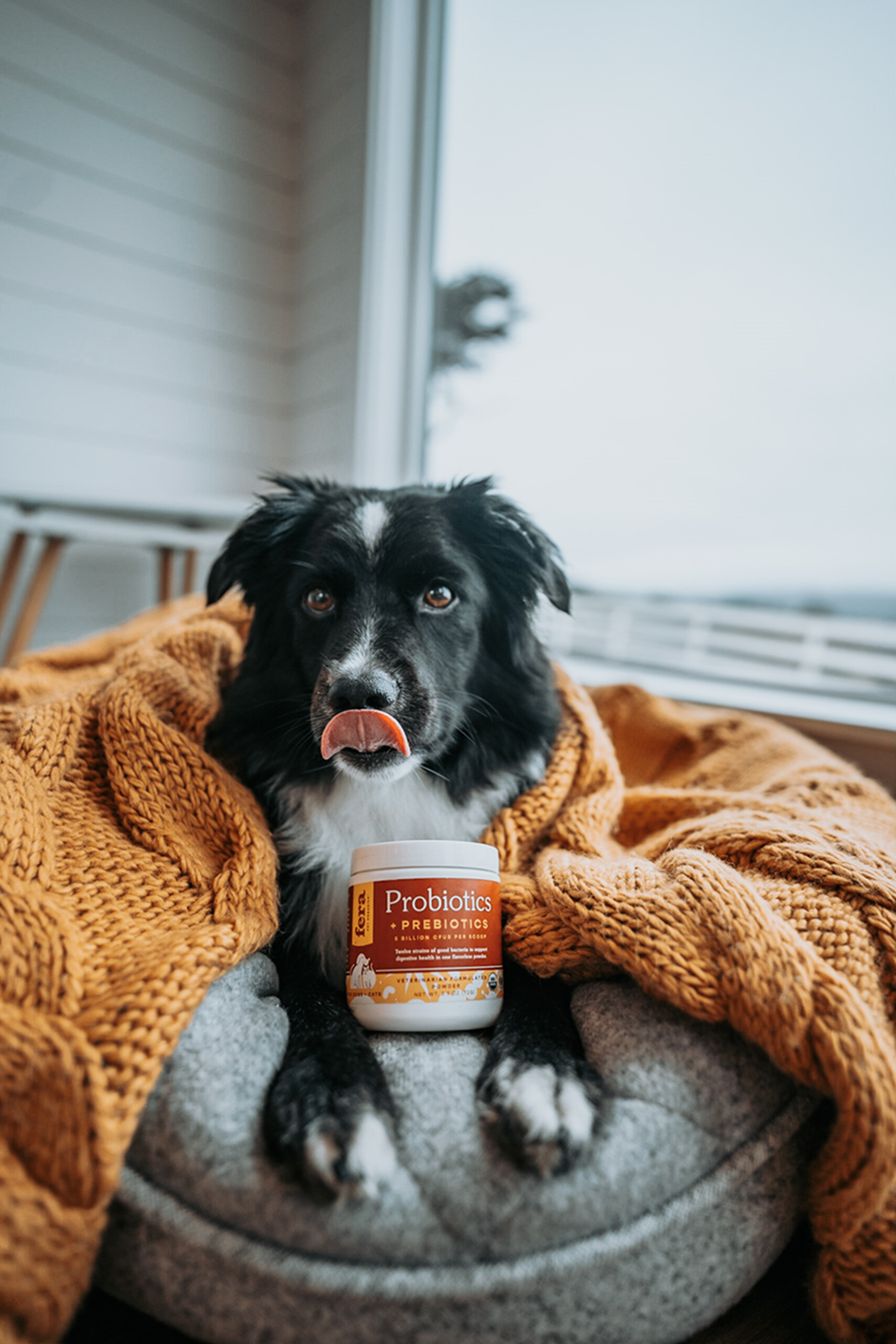 Fera Pet Organics Dog and Cat Supplement, USDA Organic Probiotics with Prebiotics