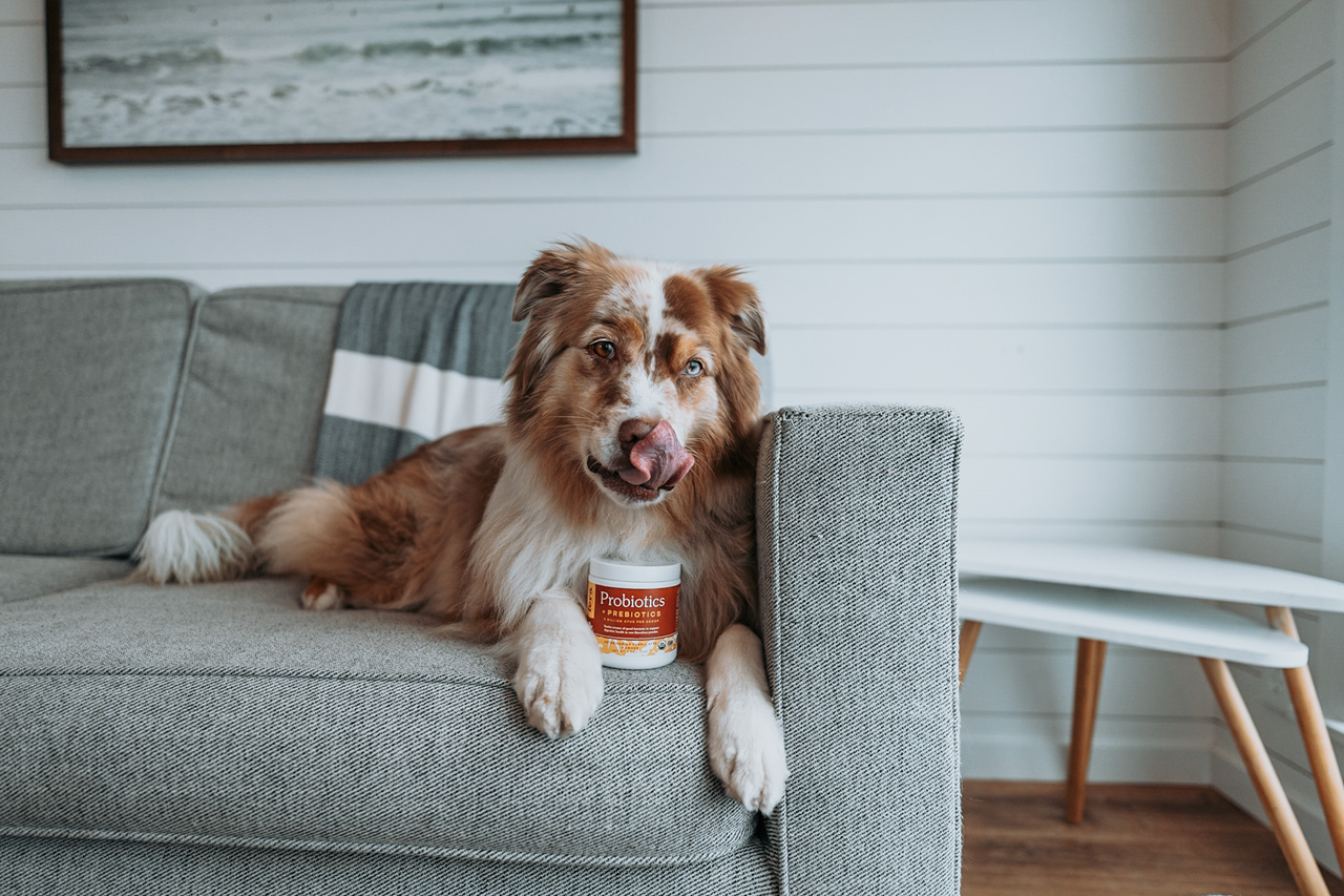 Fera Pet Organics Dog and Cat Supplement, USDA Organic Probiotics with Prebiotics