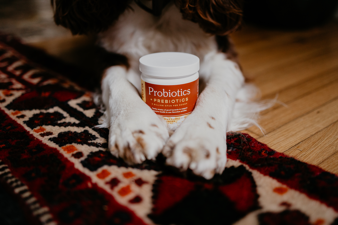 Fera Pet Organics Dog and Cat Supplement, USDA Organic Probiotics with Prebiotics