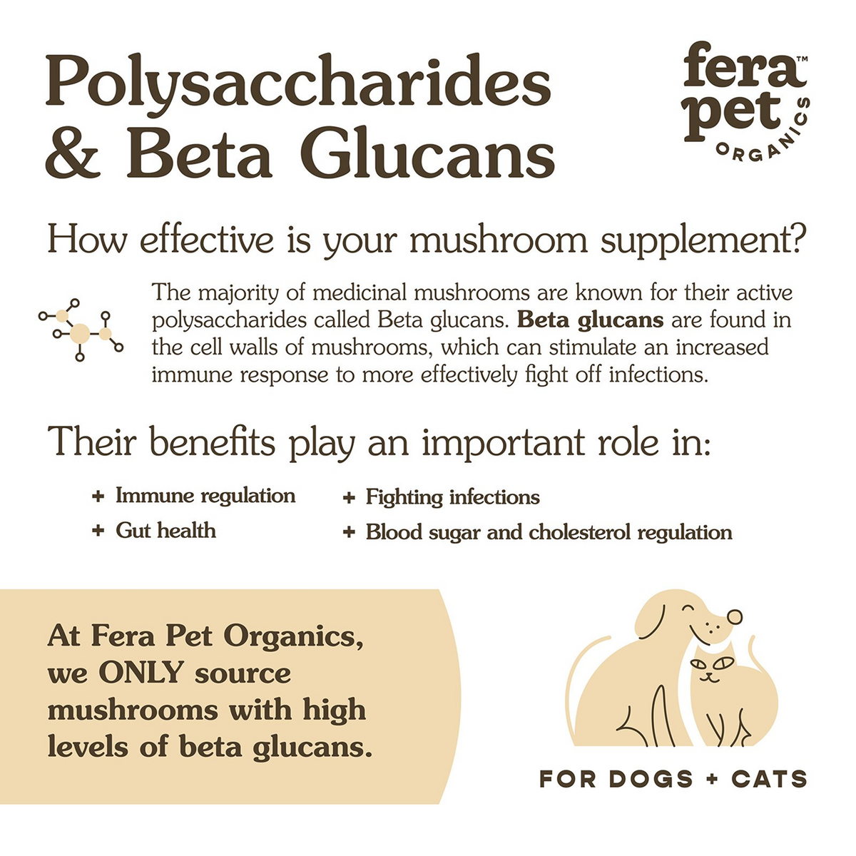 Fera Pet Organics Dog and Cat Supplement, Senior Dog Bundle