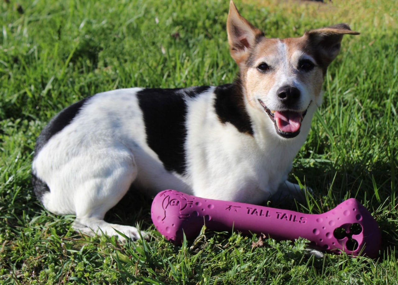 Fetch Dog Toy: Goat Sport Bone