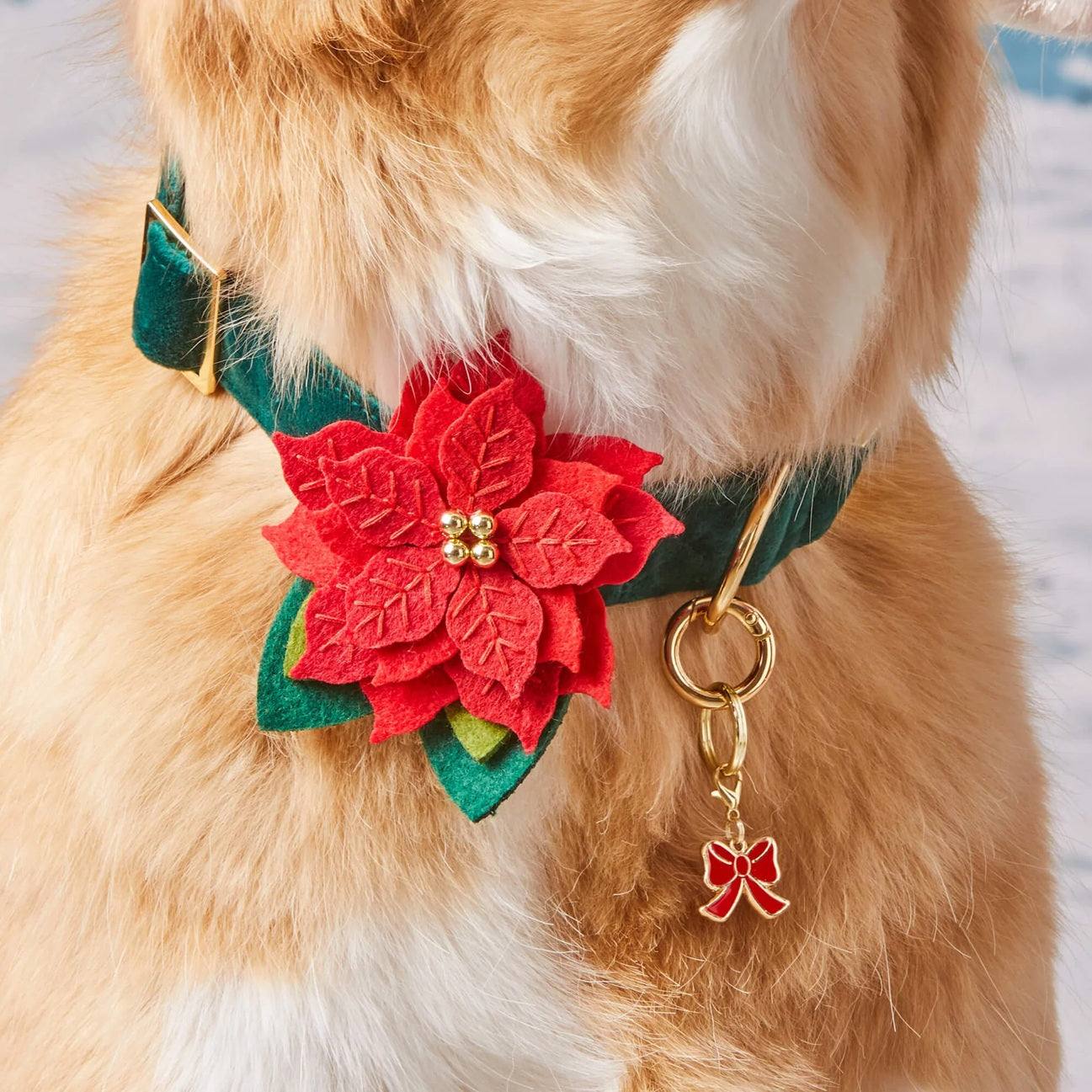 Dog Collar Attachment: Poinsettia Flower