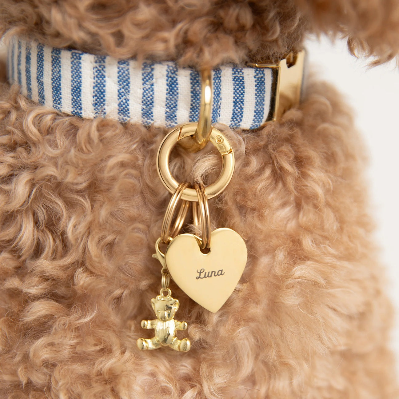 Dog Collar Charm: Gold Bear