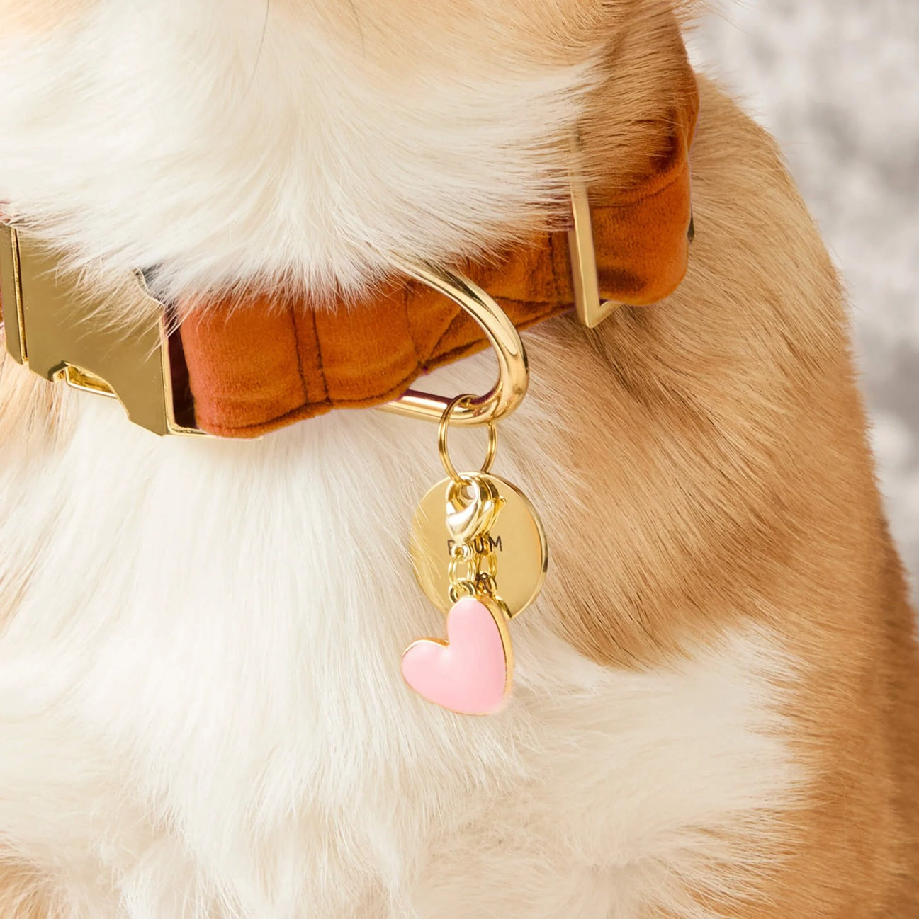 Dog Collar Charm: Pink Heart