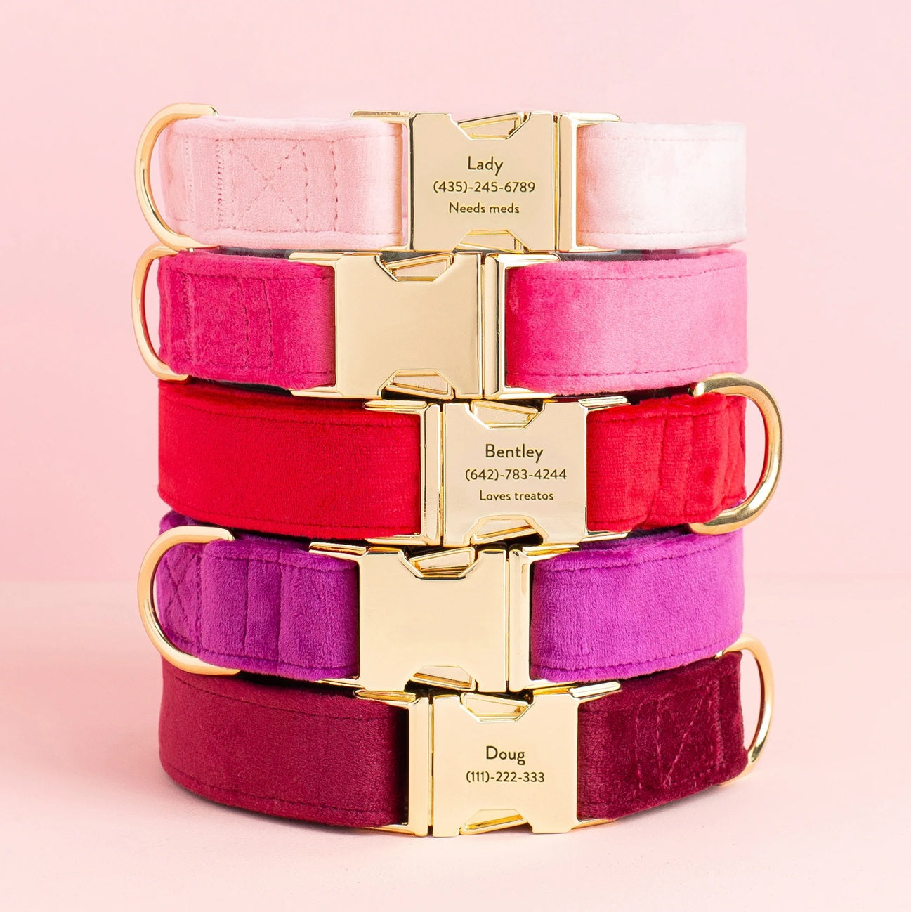 Dog Collar: Burgundy Velvet