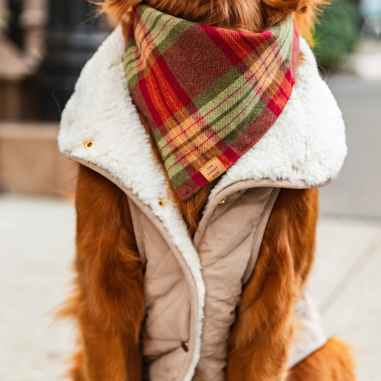 Dog and Cat Bandana: Orchard Plaid Flannel