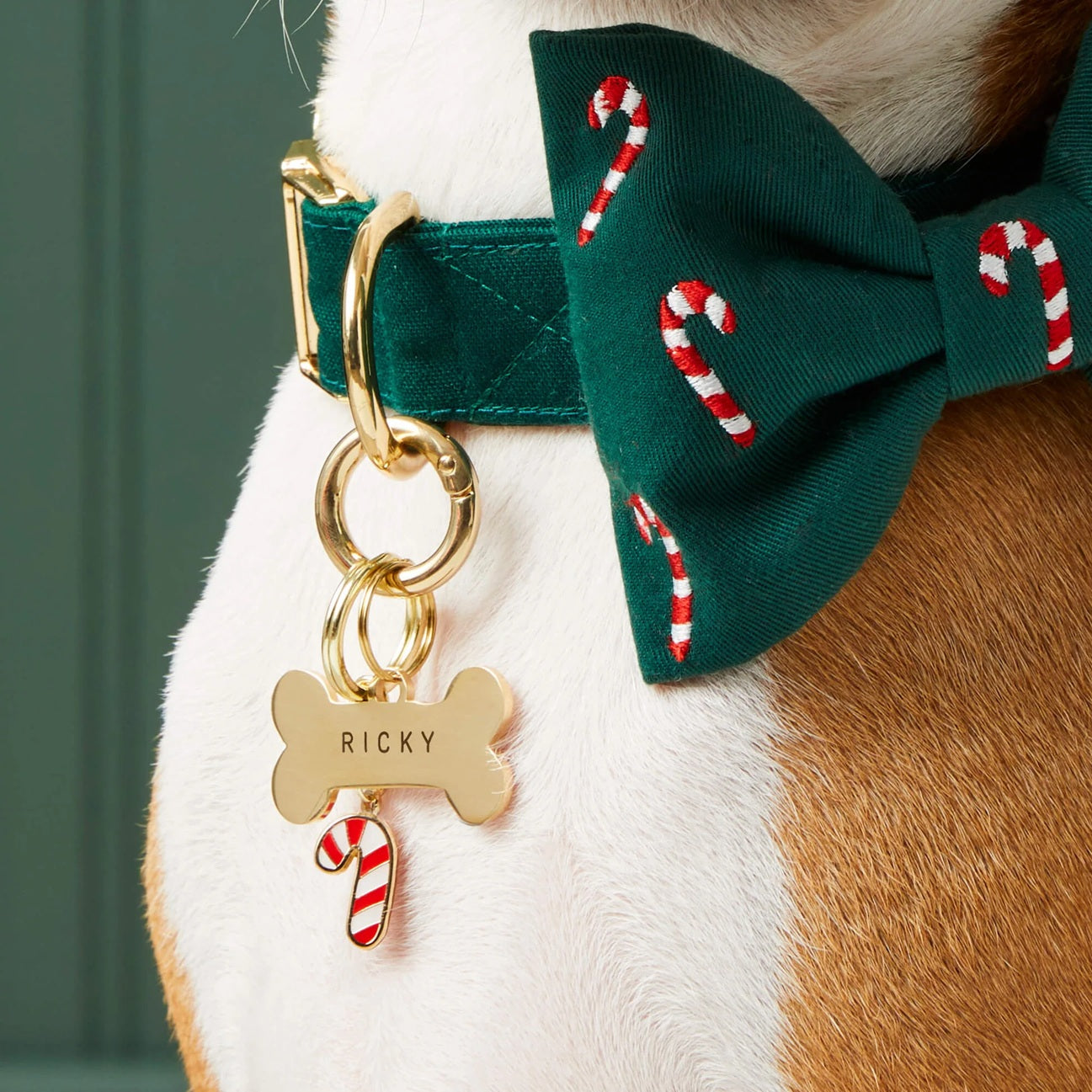 Dog and Cat Embroidered Bowtie: Evergreen Candy Canes