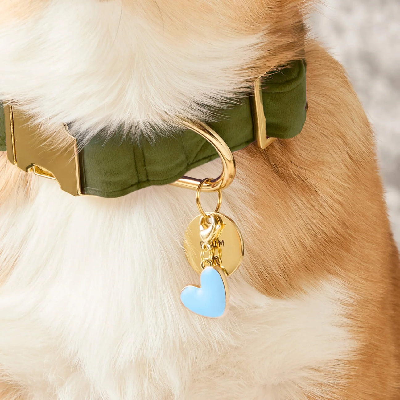 Dog Collar Charm: Blue Heart
