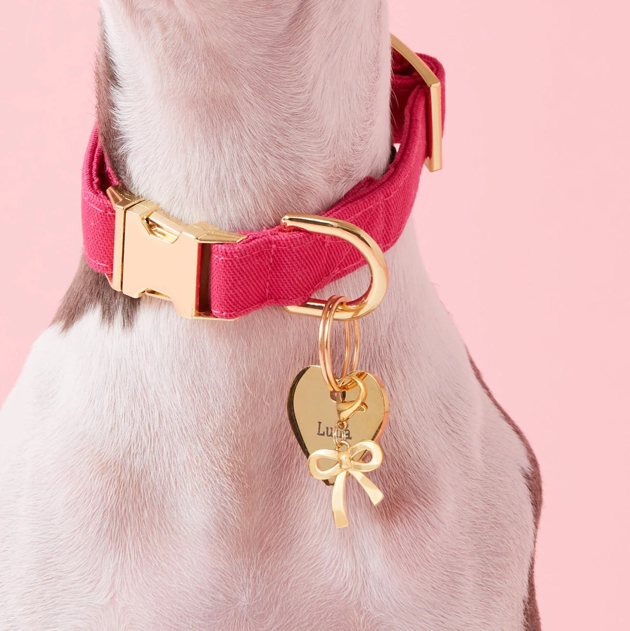 Dog Collar Charm: Gold Bow