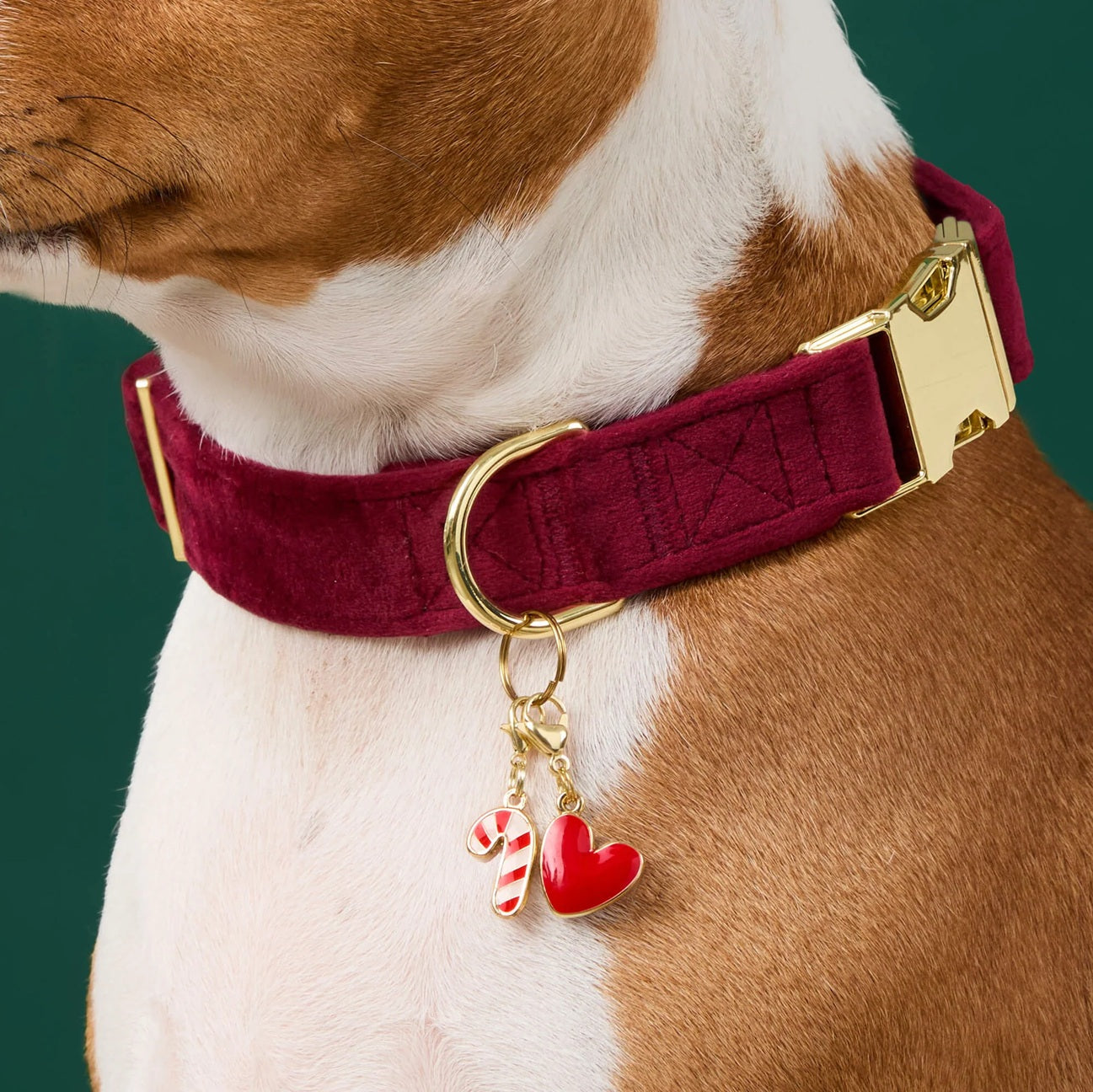 Dog Collar Charm: Red Heart