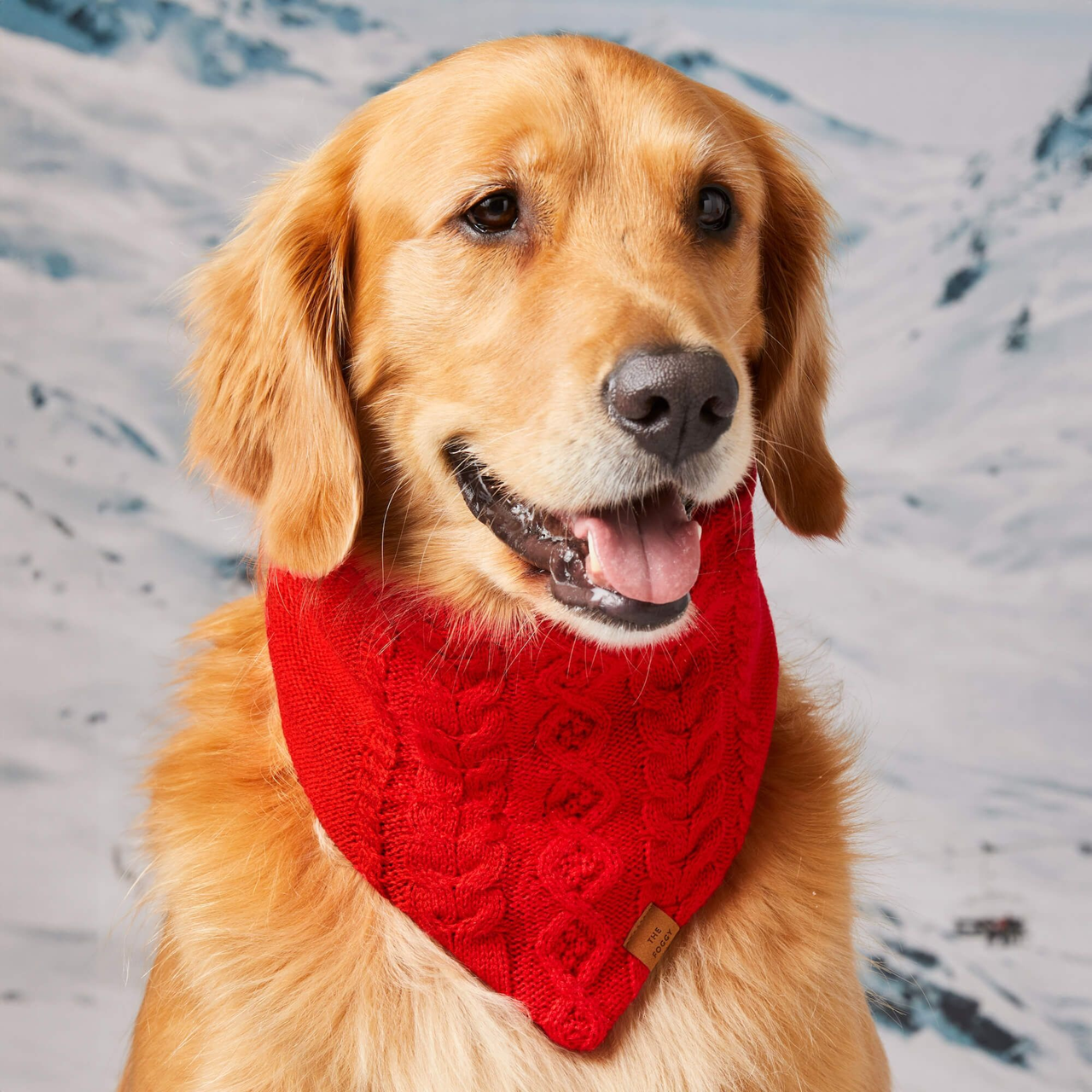 Dog and Cat Knit Bandana: Cable
