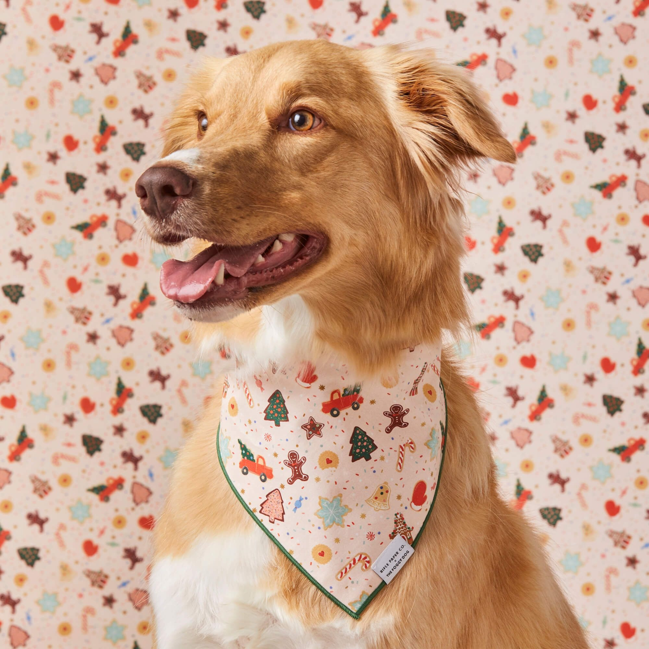 Dog and Cat Bandana: Rifle Paper Co. x TFD Holiday Cookies