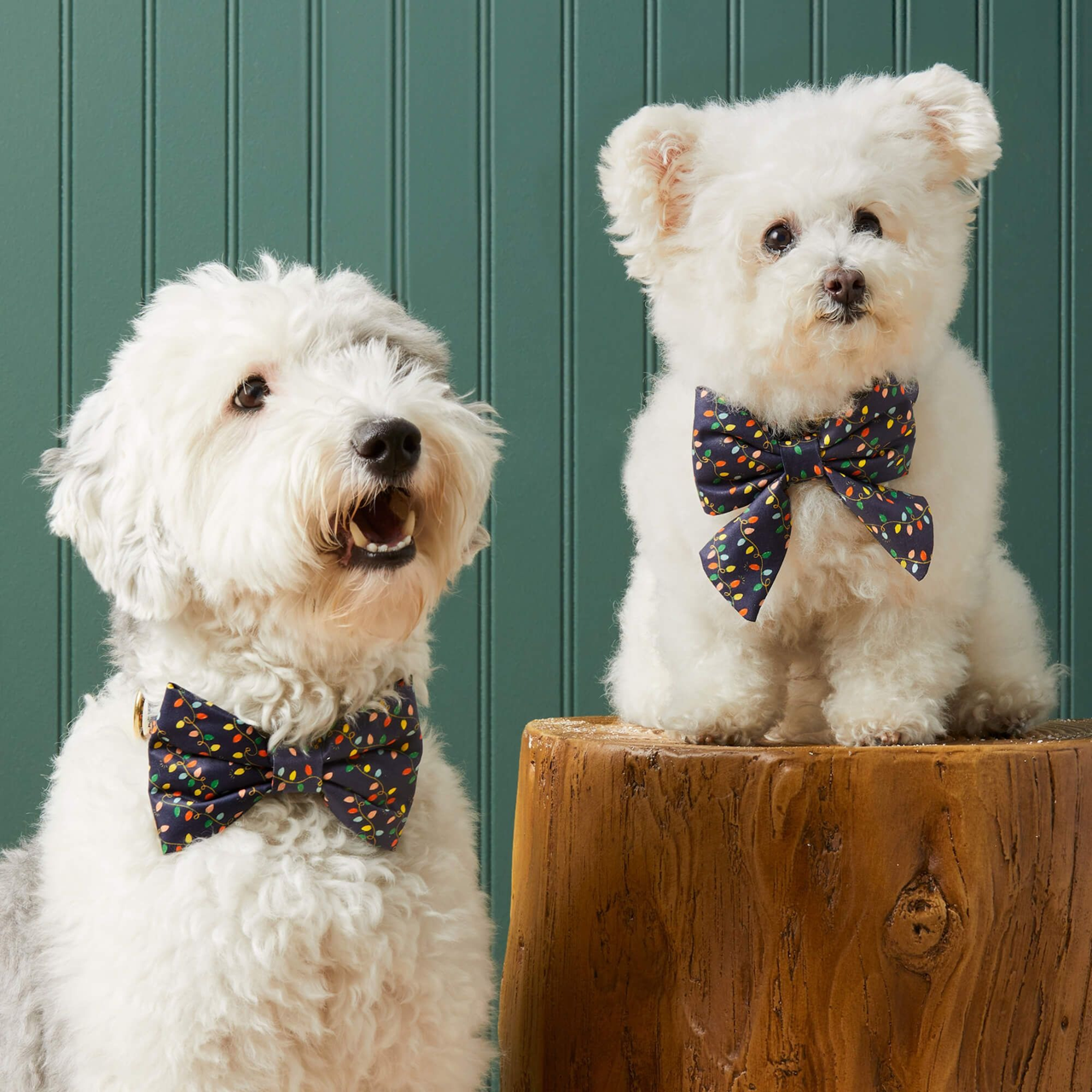 Dog and Cat Bowtie: Rifle Paper Co. x TFD Holiday Lights