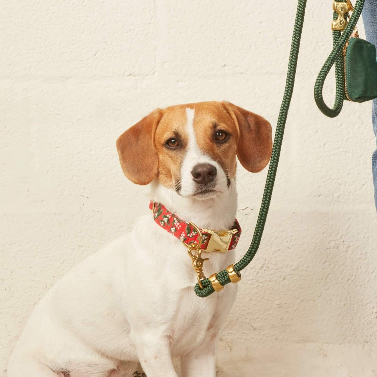 Dog Collar: Rifle Paper Co. x TFD Mistletoe
