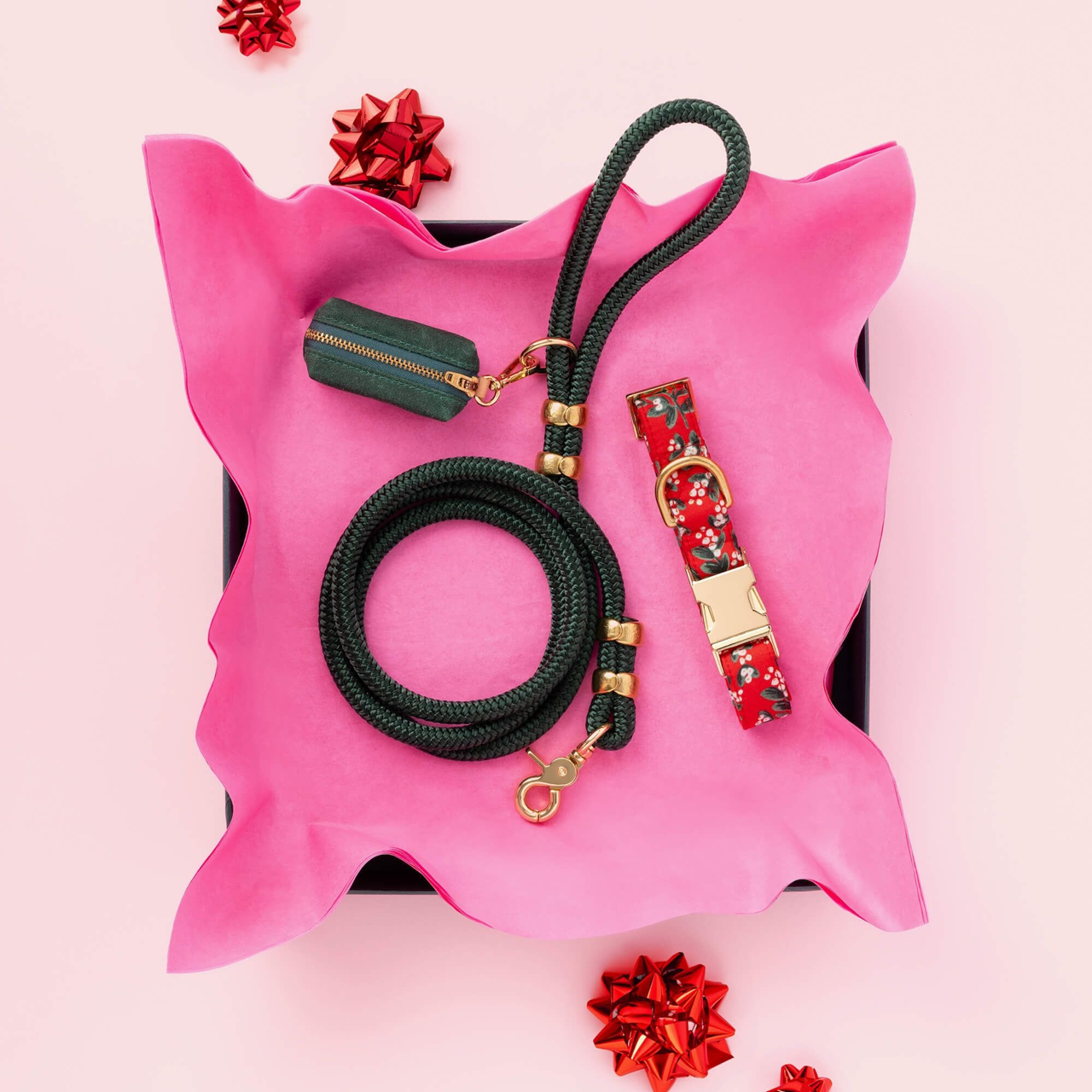 Dog Collar: Rifle Paper Co. x TFD Mistletoe