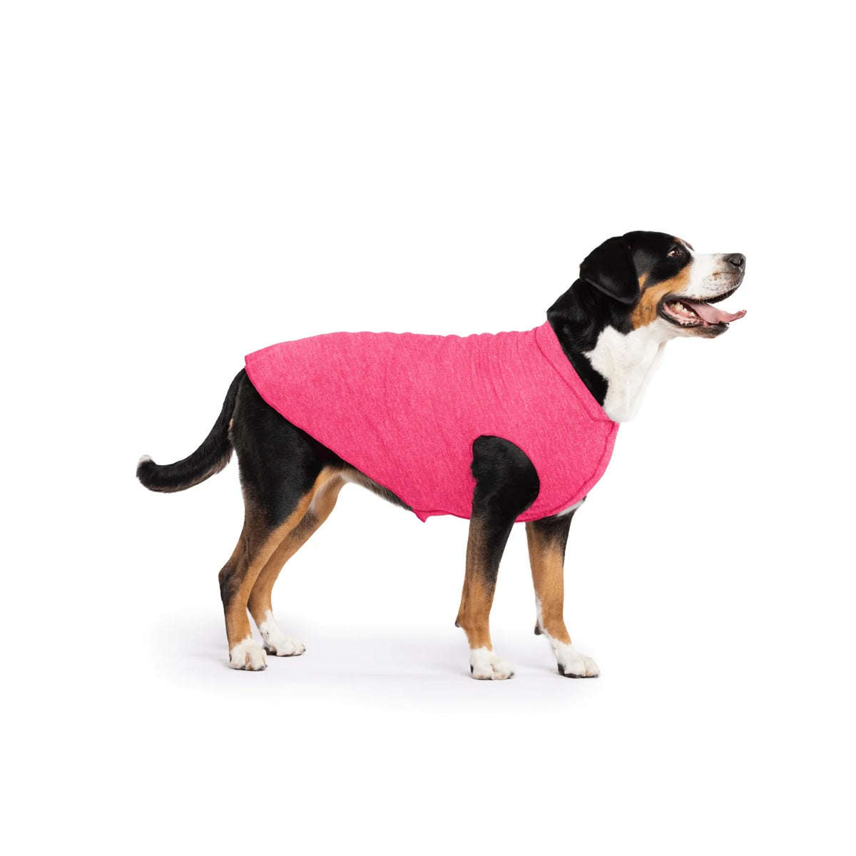 Sun Shield Tee shirts for Dogs and Cats, in Flamingo