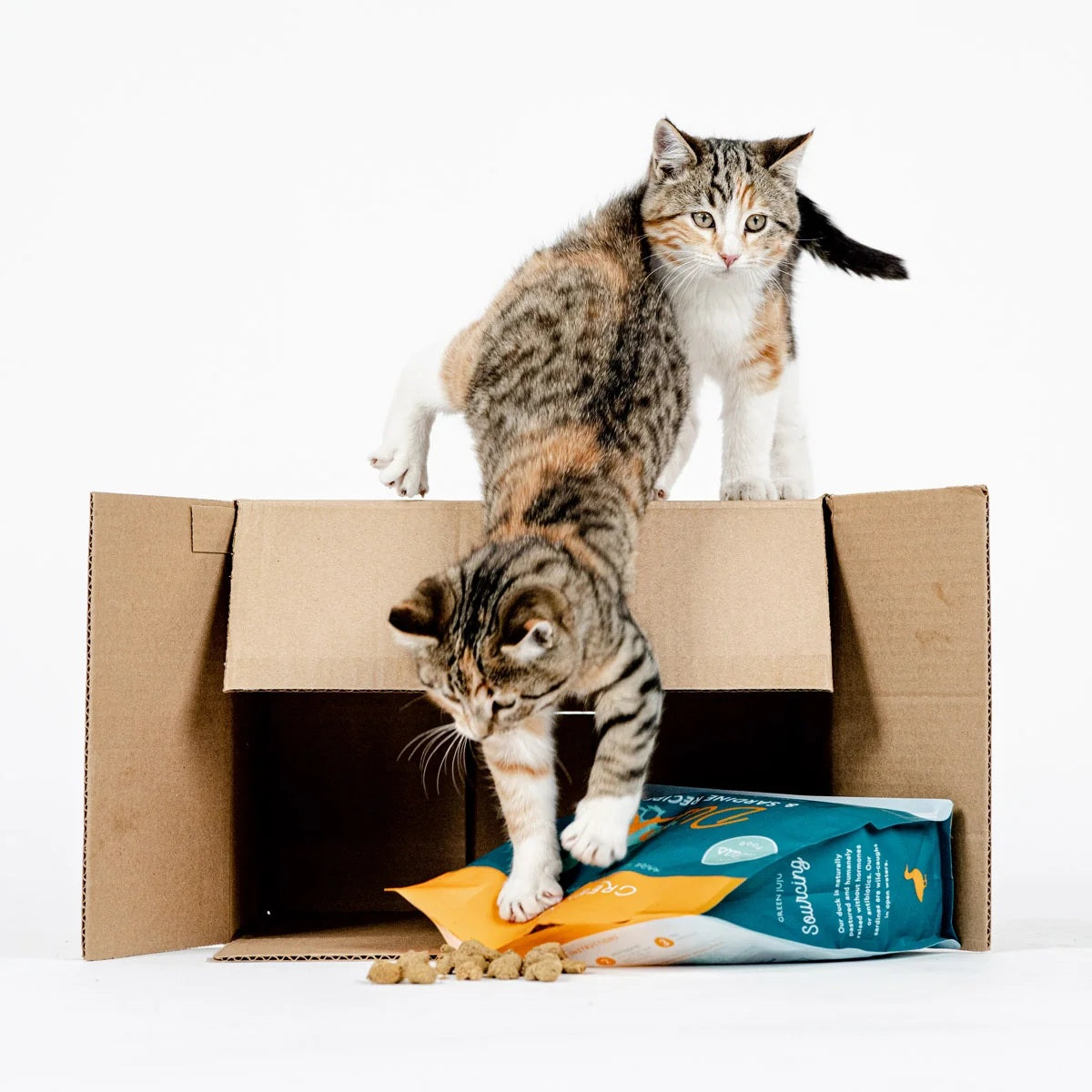 Green Juju Premium freeze-dried duck and sardine food bag for dogs and cats needing a cooling diet.