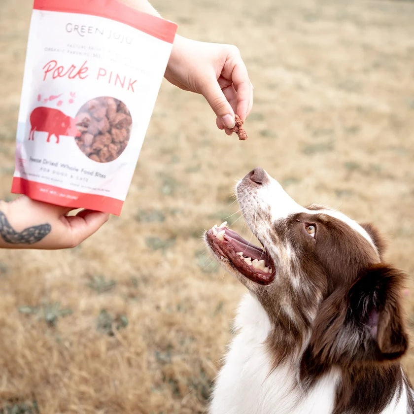Green Juju Freeze Dried Pork Bites antioxidant rich low carb pork organ treats for pet vitality and immune support