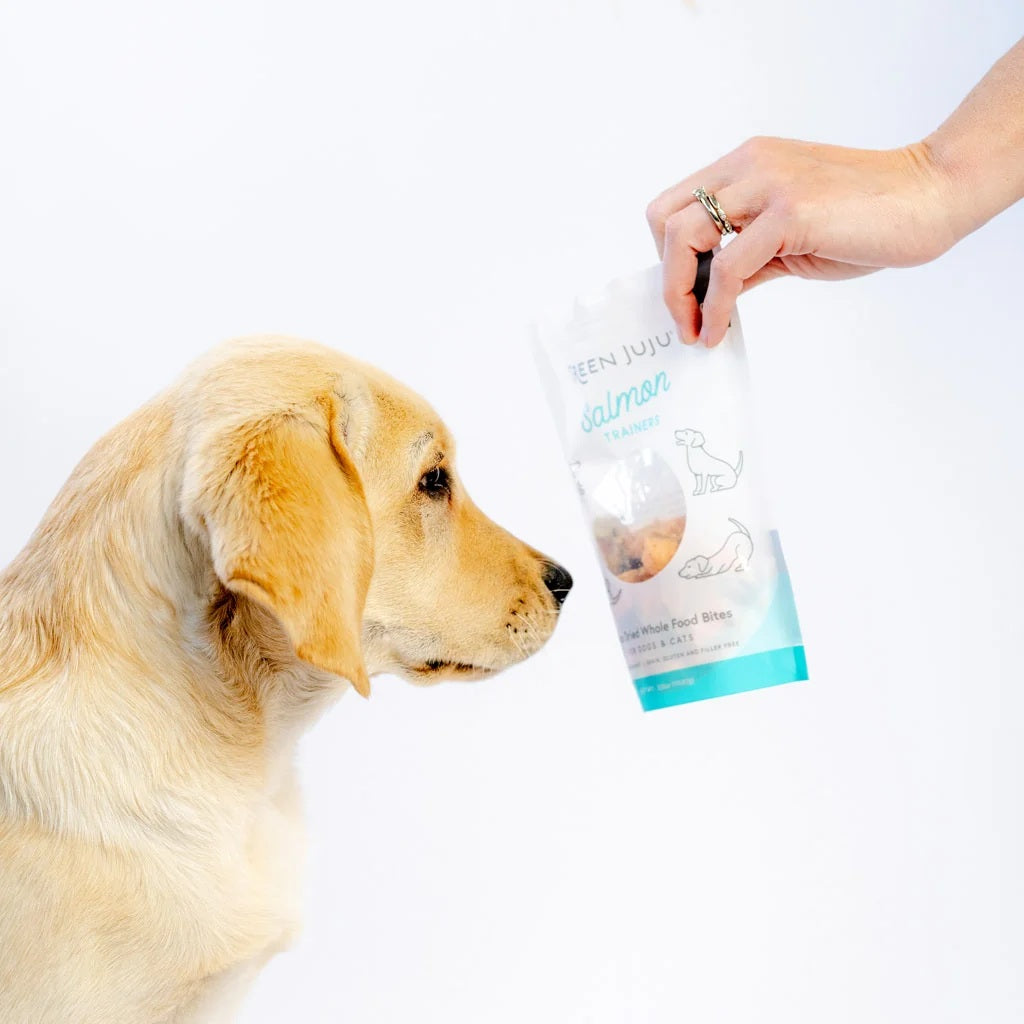 Green Juju freeze-dried salmon trainers for skin and coat health, wild-caught omega-3 single-ingredient fish treats for dogs and cats