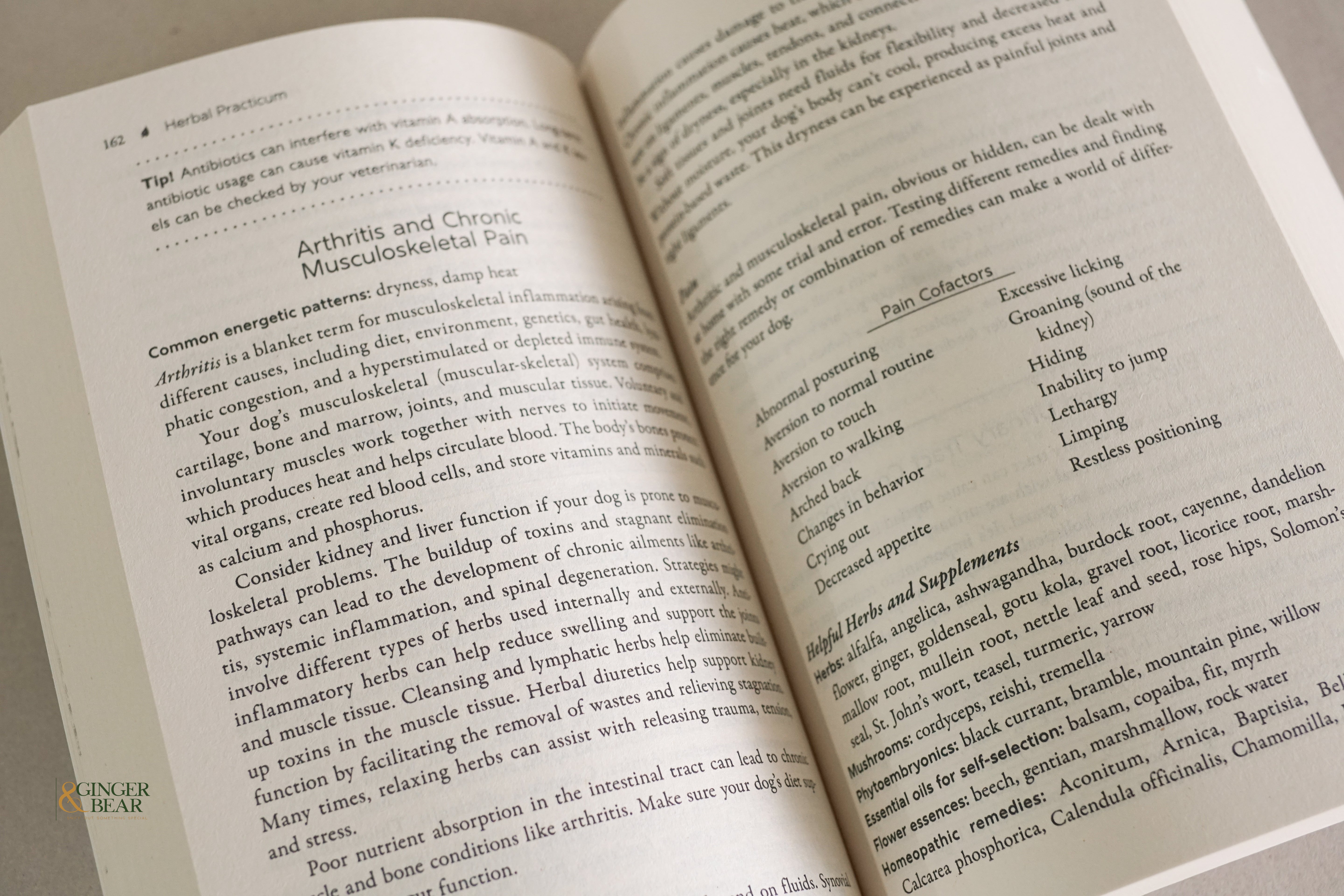 Book: The Herbal Dog — Holistic Canine Herbalism: Applications & Practice (Paperback, 2025)