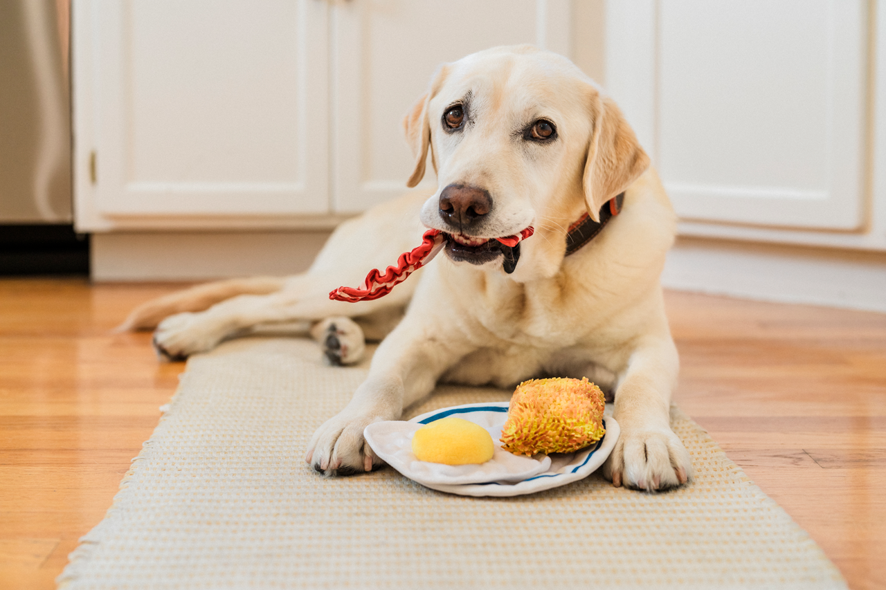 IHOP x P.L.A.Y. Squeaky Plush Dog toys, Breakfast Bundle