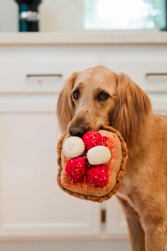 IHOP x P.L.A.Y. Squeaky Plush Dog toys, Breakfast Bundle