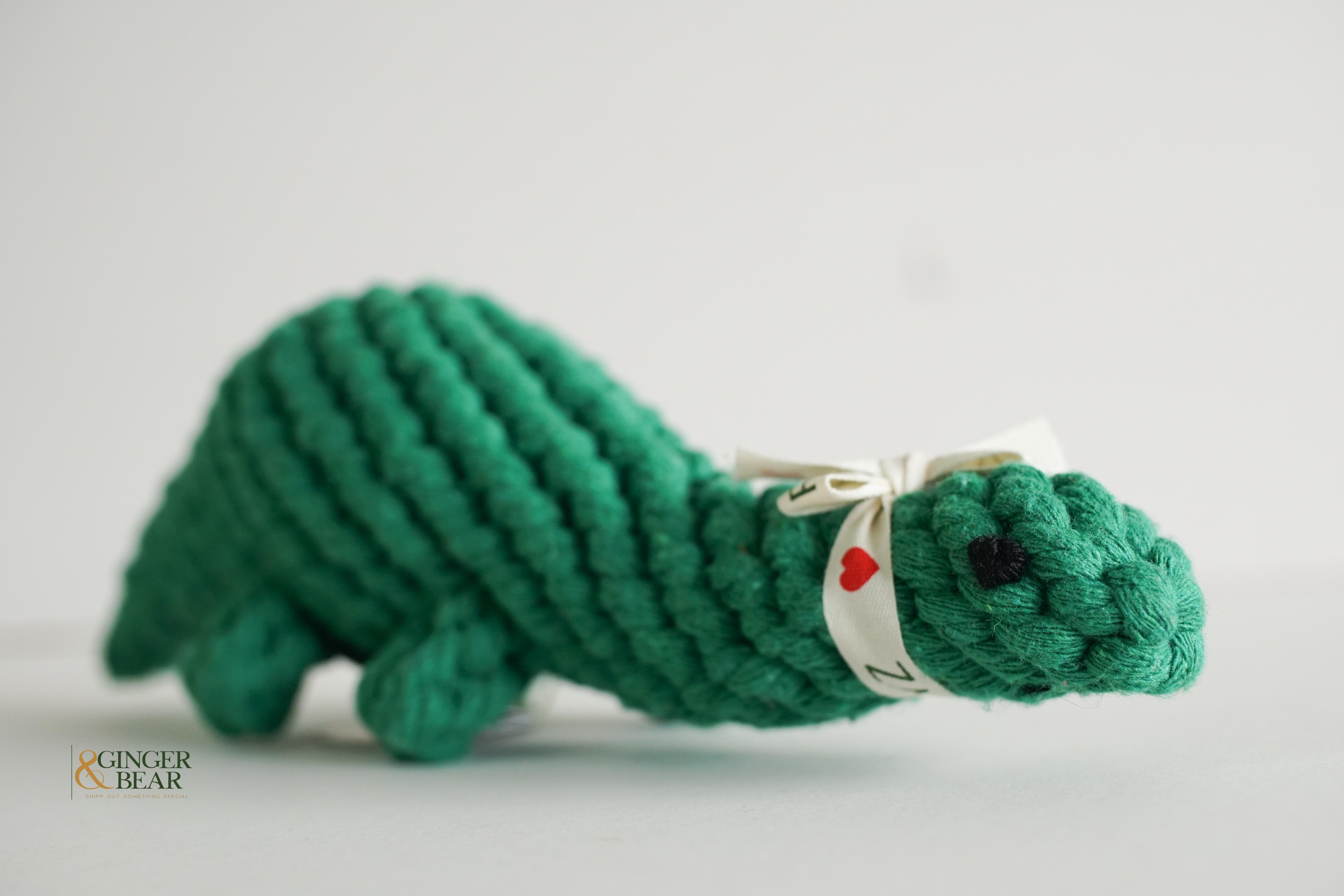 Knotty Interactive Upcycled Cotton Rope Dog Toy, Rex the Green Dinosaur