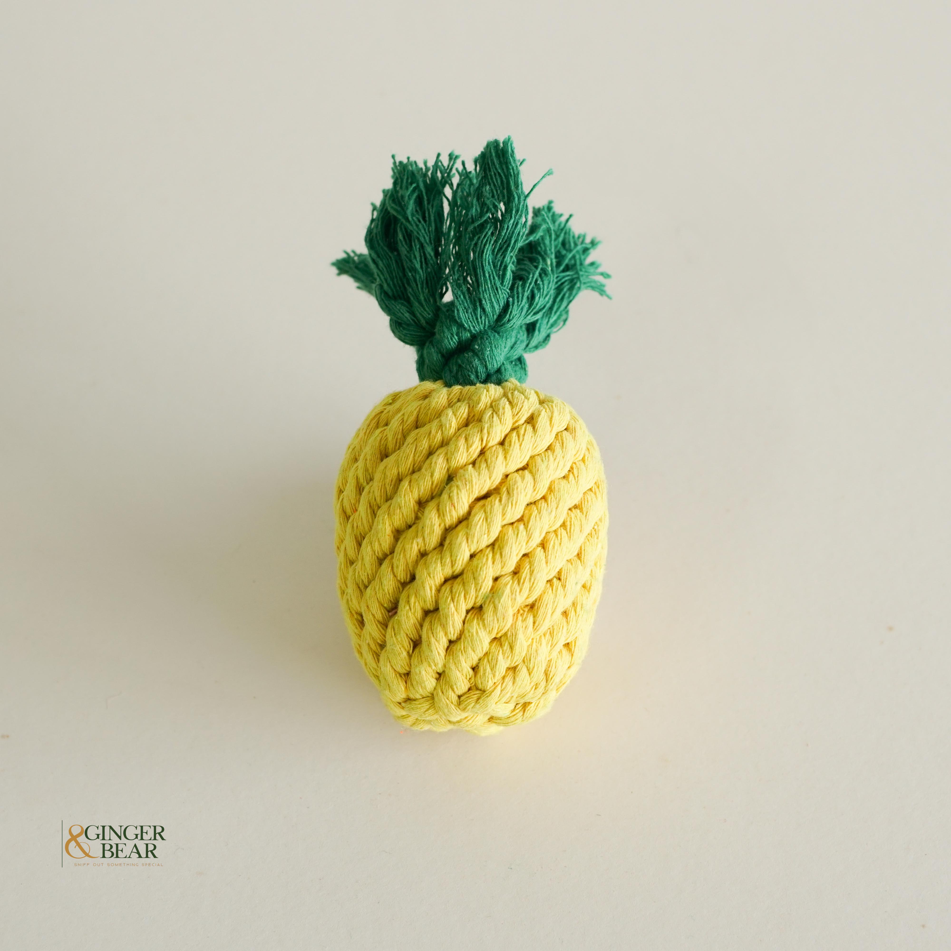 Knotty Interactive Upcycled Cotton Rope Dog Toy, Pineapple
