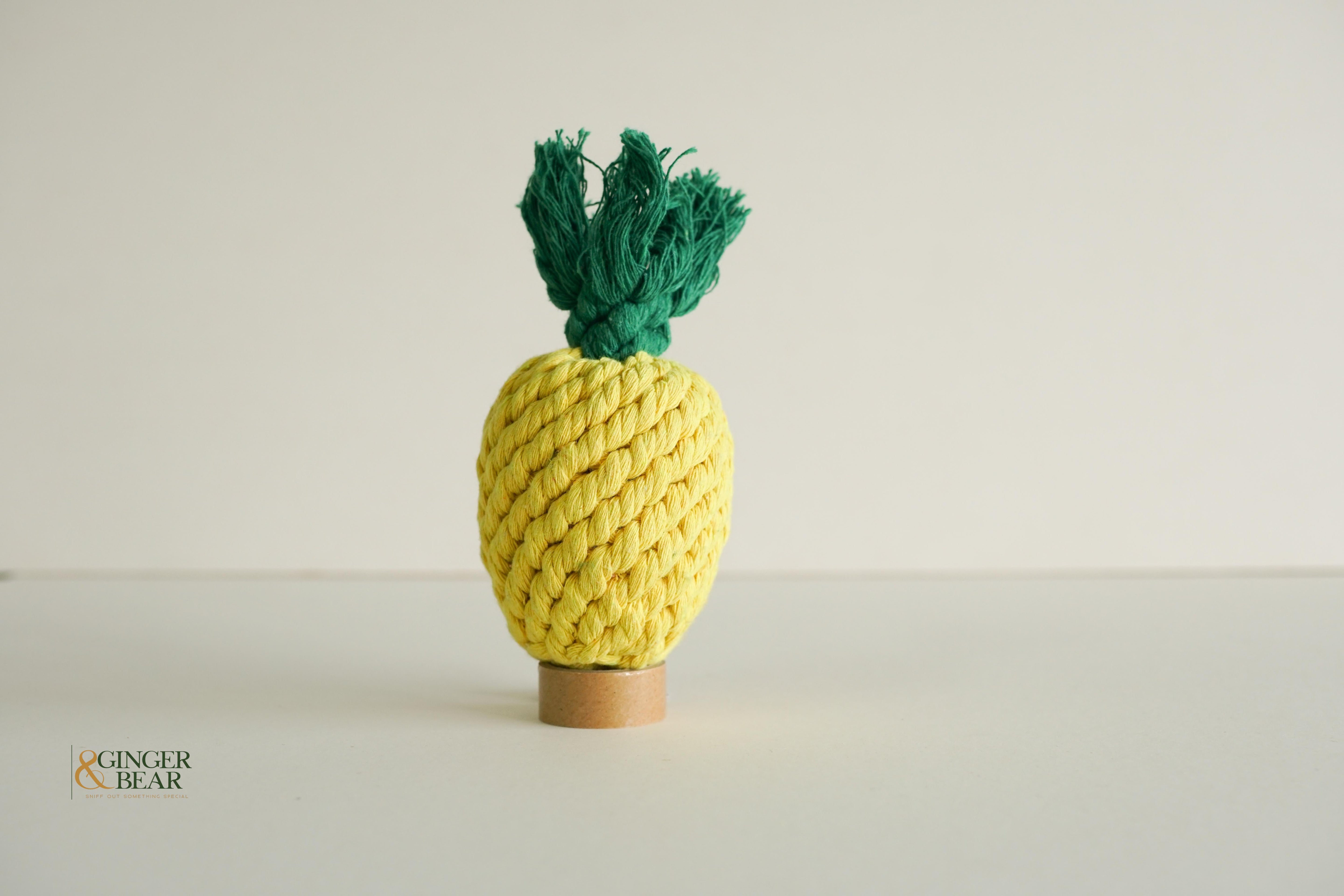 Knotty Interactive Upcycled Cotton Rope Dog Toy, Pineapple