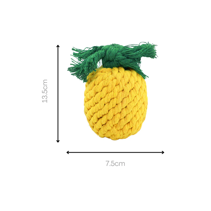 Knotty Interactive Upcycled Cotton Rope Dog Toy, Pineapple