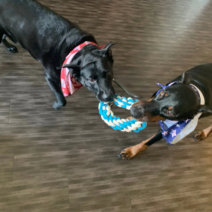 Knotty Interactive Upcycled Cotton Rope Tug Toy Set, Sky and Cloud