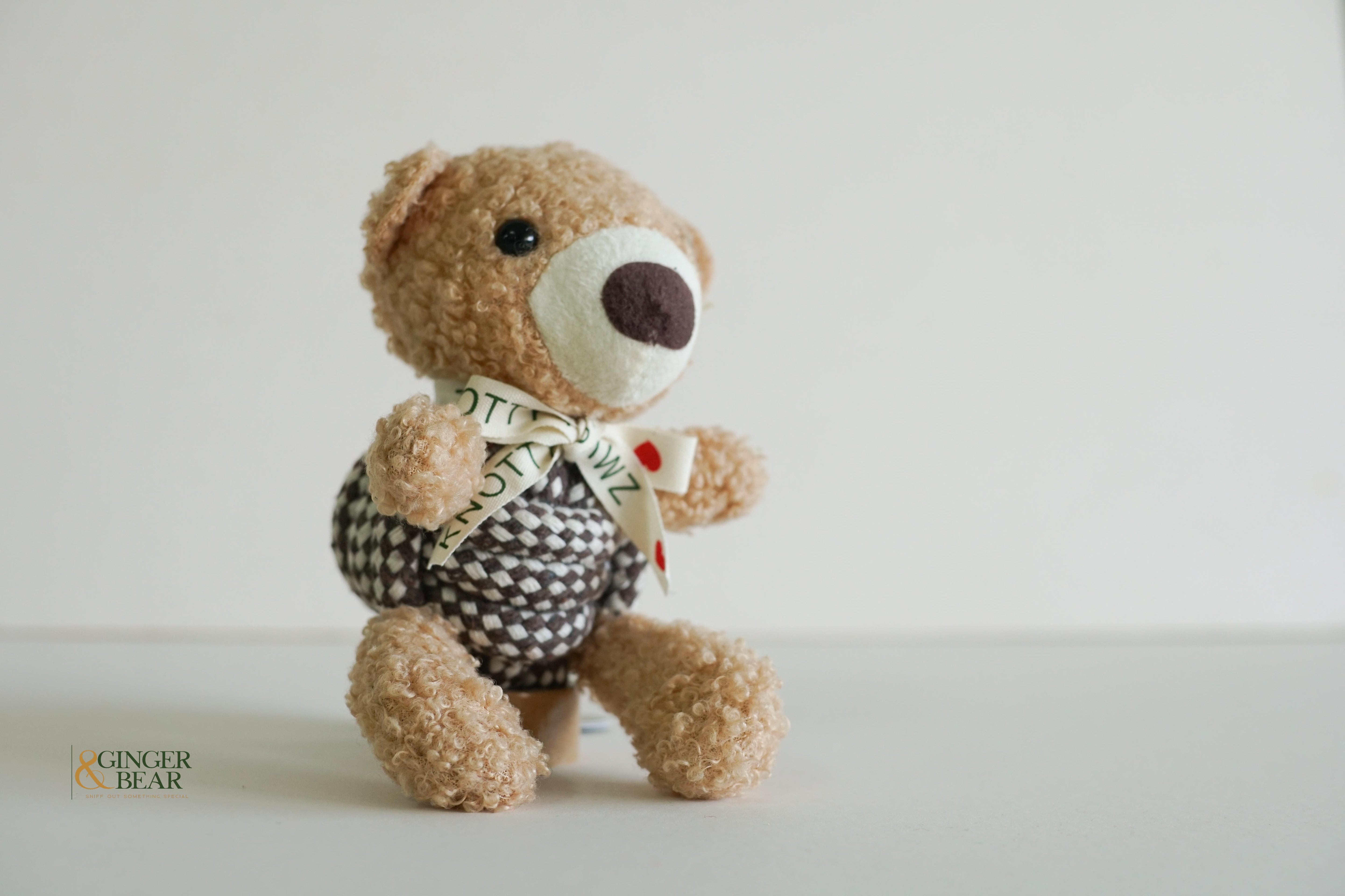 Knotty Squeaky Interactive Rope Dog Toy, Coco the Bear