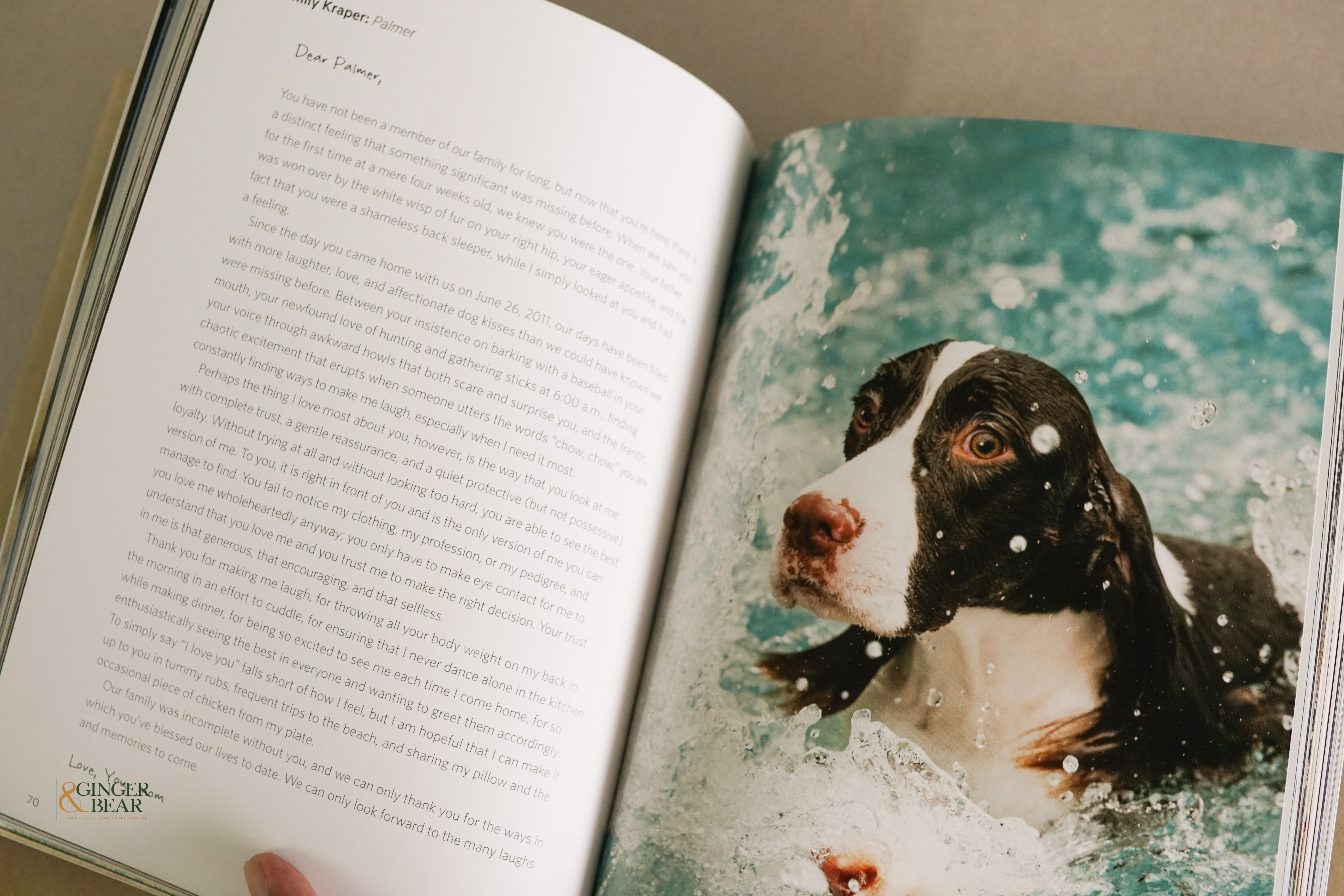 Book: A Letter to My Dog — Notes to Our Best Friends (Hardcover, 2012)
