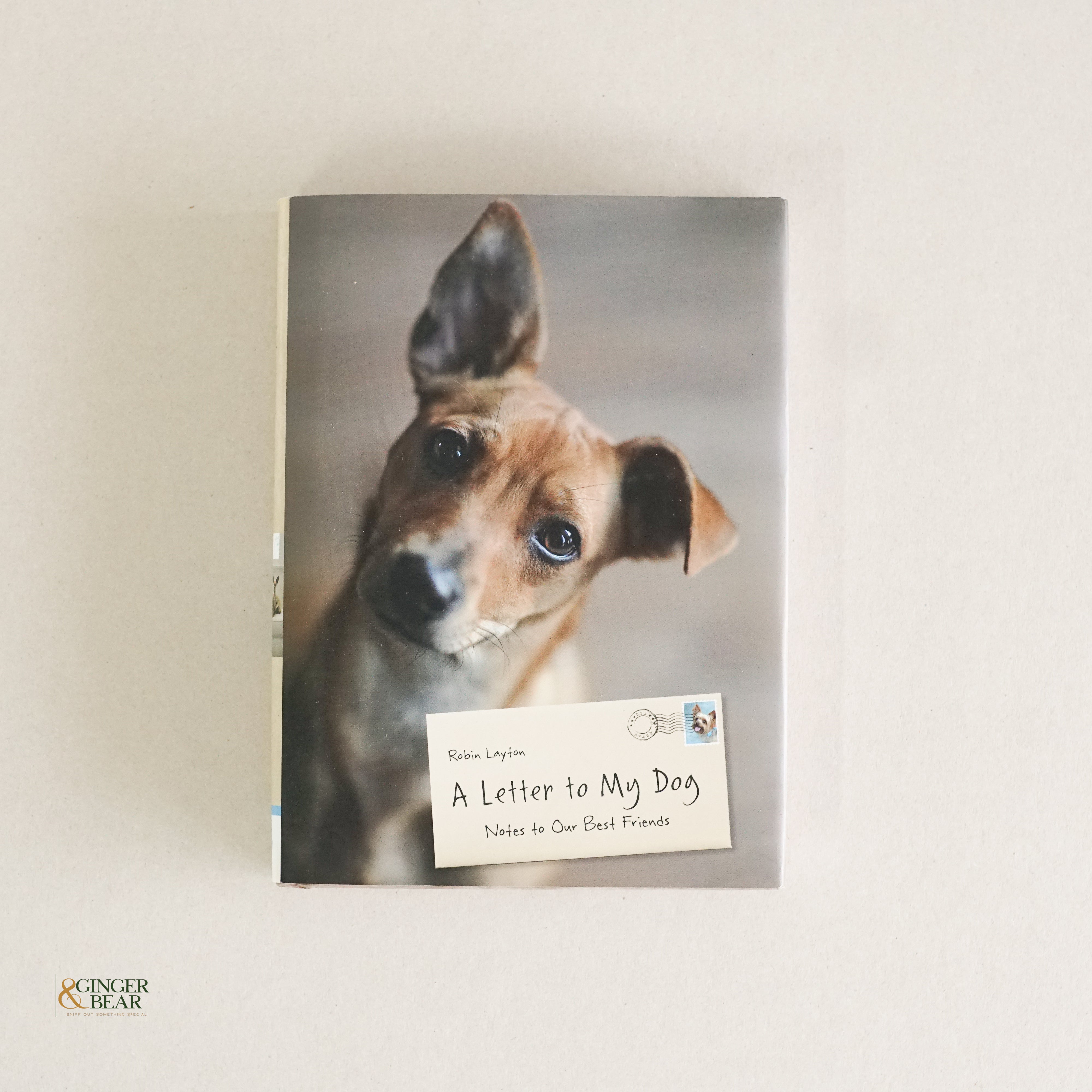 Book: A Letter to My Dog — Notes to Our Best Friends (Hardcover, 2012)