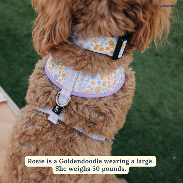 Lucy&Co Dog Collar: Among the Wildflowers