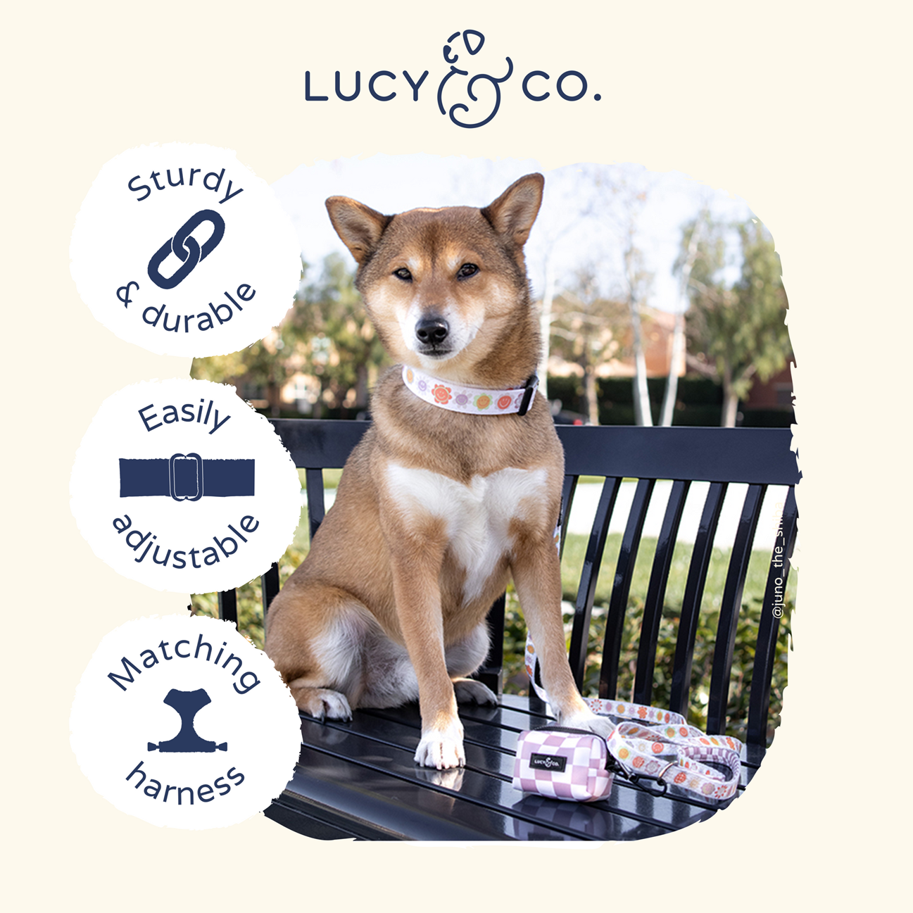 Lucy&Co Dog Collar: Among the Wildflowers