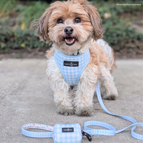 Lucy&Co Dog Leash: Hippity Hoppity