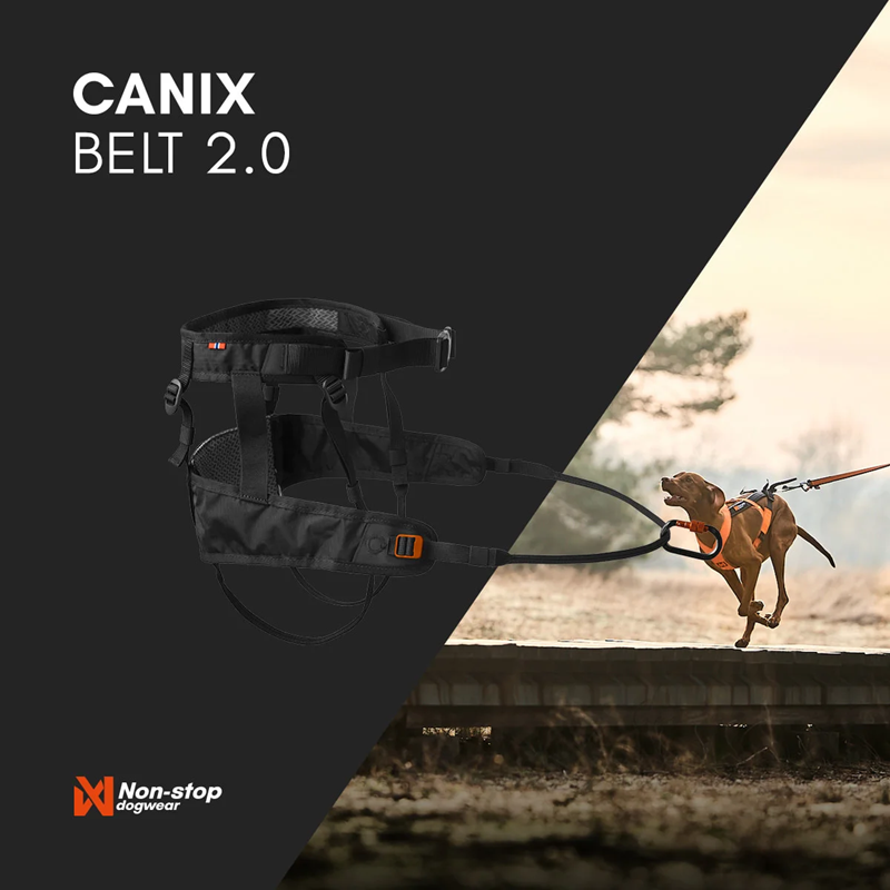 Non-Stop Dog Wear: Canix Belt 2.0