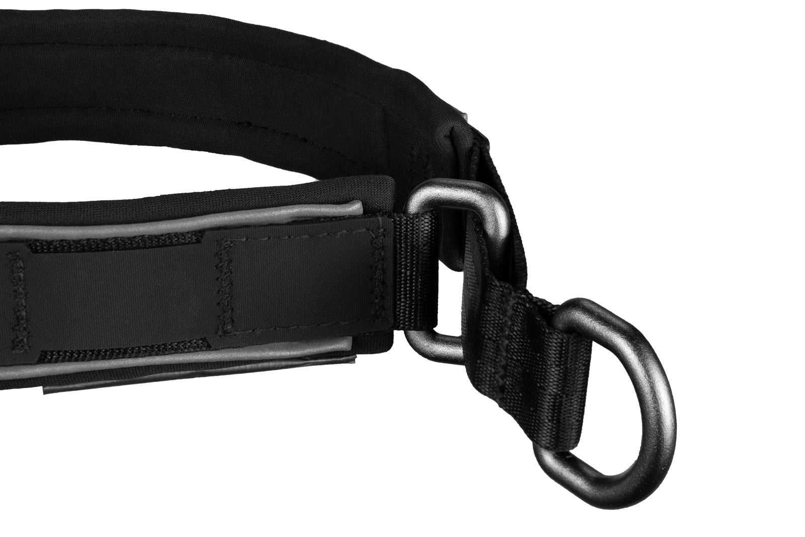 Non-Stop Dog Wear: Cruise Semi-Slip Dog Collar