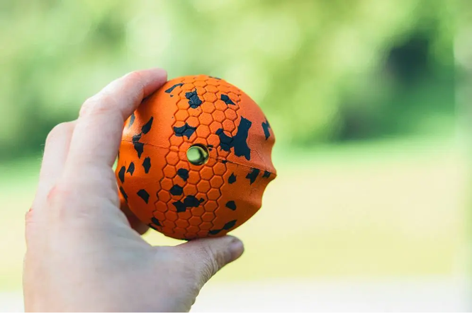 Non-Stop Dog Wear: Dog Toy, Ball