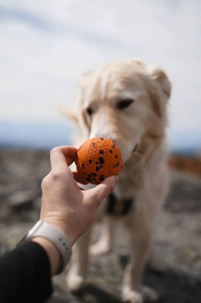 Non-Stop Dog Wear: Dog Toy, Ball