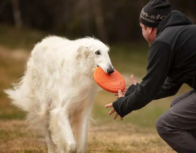 Non-Stop Dog Wear : Dog Toy, Flying Disc